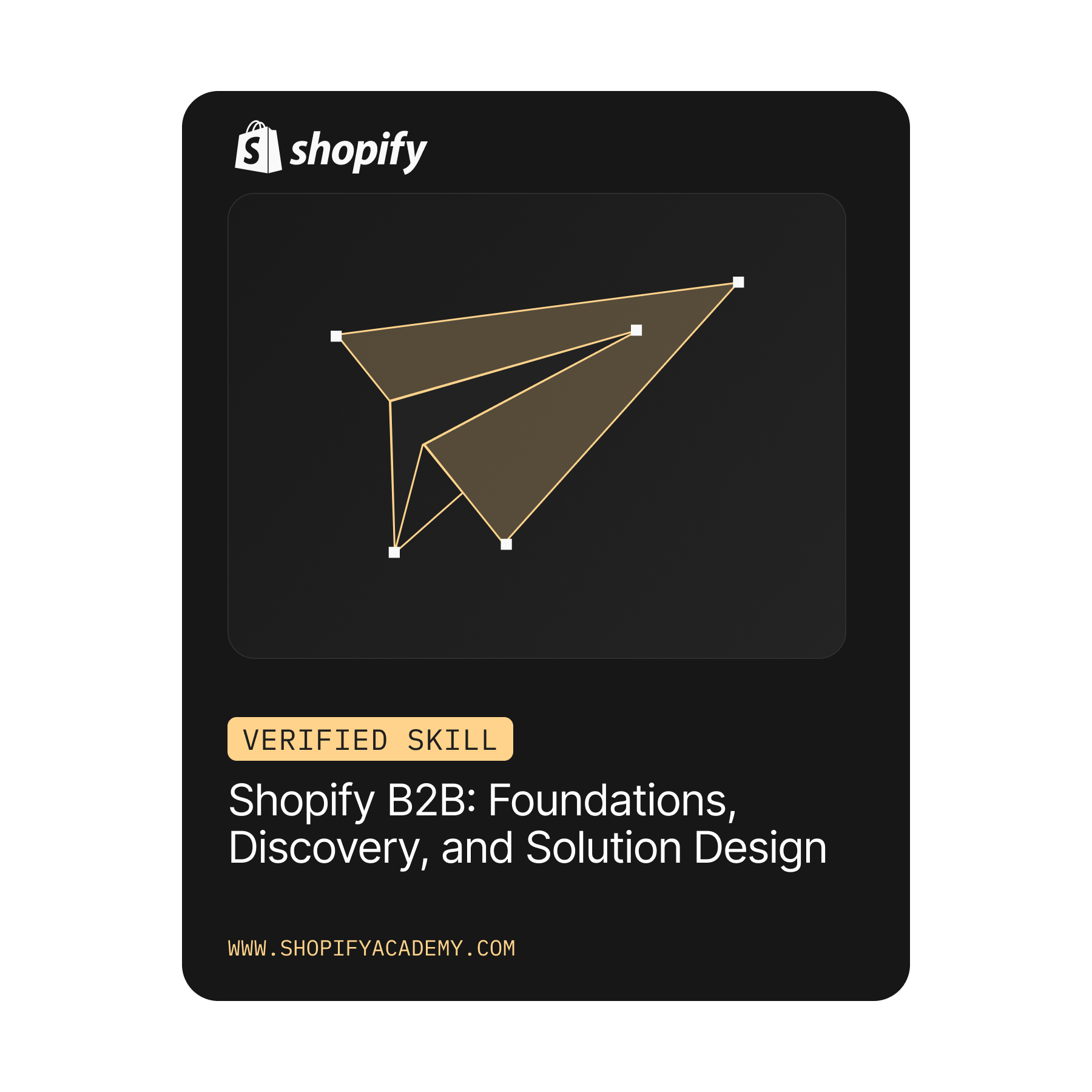 Shopify B2B Foundations Discovery and Solution Design